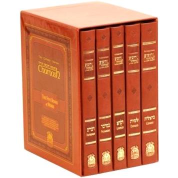 Chumash: The Gutnick Edition - Five Books of Moses - Kol Menachem Slipcased Set of 5 Vol (2 sizes) B