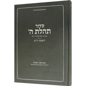 Linear Shabbos & Yom Tov Siddur for Youth with English - Weiss Edition