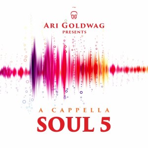Ari Goldwag Soul 5 Music AUDIO CD