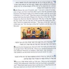 Passover Haggadah Paintings by Michal Meron