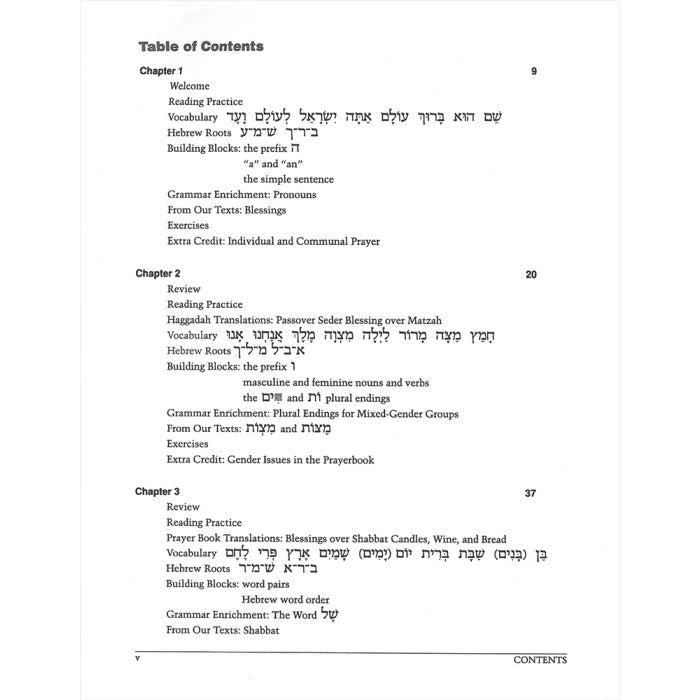 Aleph Isn't Enough Hebrew for Adults Book 2 By Llinda Motzkin