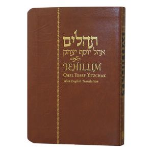 Tehillim Ohel Yosef Yitzchak Hebrew English Flexi Cover Compact Edition