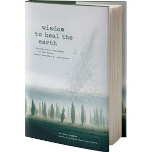 Wisdom to Heal the Earth By Tzvi Freeman