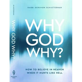 Why God Why? How to Believe in Heaven when it Hurts like Hell by Rabbi Gershon Schusterman