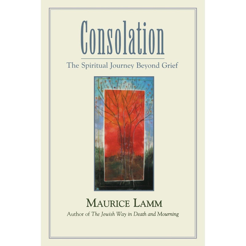 Consolation: The Spiritual Journey Beyond Grief. By Rabbi Morris Lamm -Paperback Edition