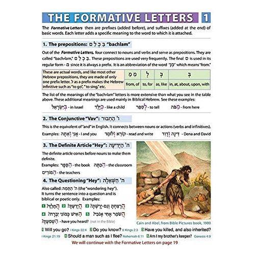 Biblical Hebrew Home Study Spiral-bound Edition by Dr. Danny Ben-Gigi Book & CD