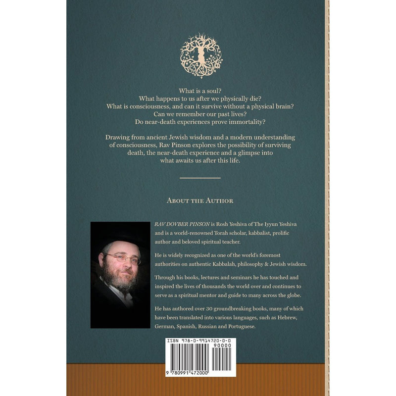 The Jewish Book of LIFE AFTER LIFE by Rav DovBer Pinson