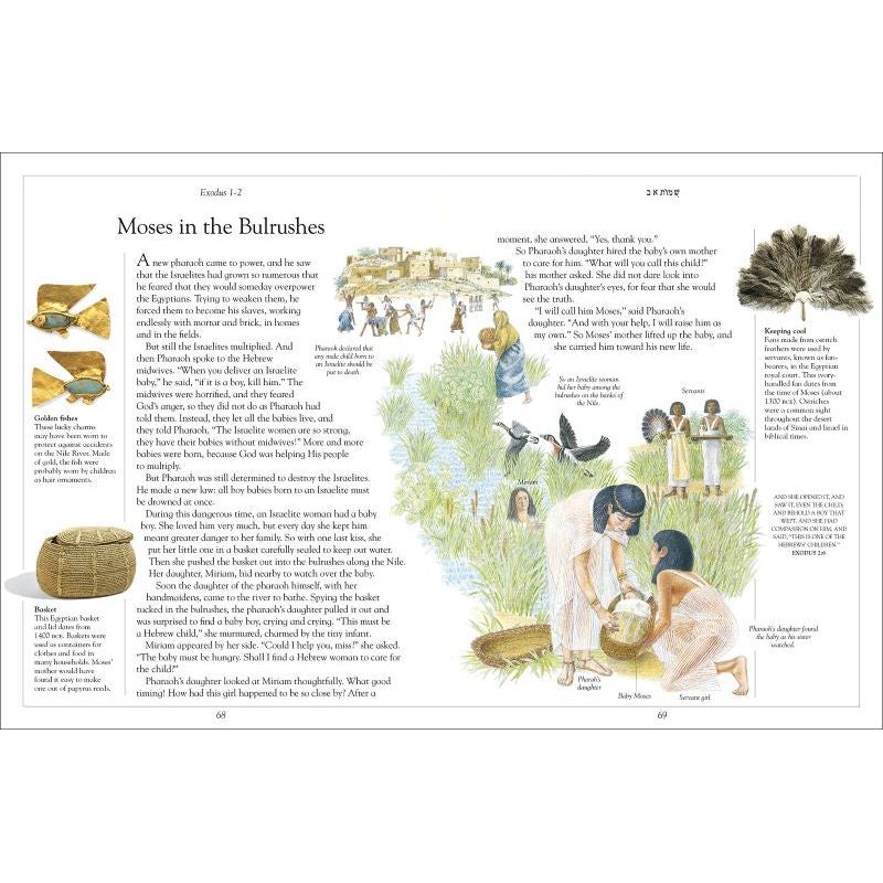 The Children's Illustrated Jewish Bible By Laaren Brown New 2020