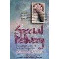 Special Delivery Jewish Birth Stories of Faith and Inspiration Edited by Sarah Goldstein