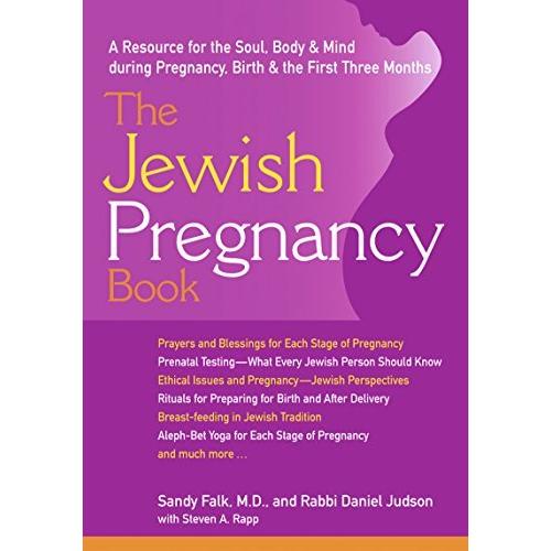 The Jewish Pregnancy Book: A Resource for the Soul, Body & Mind during Pregnancy, Birth & the First