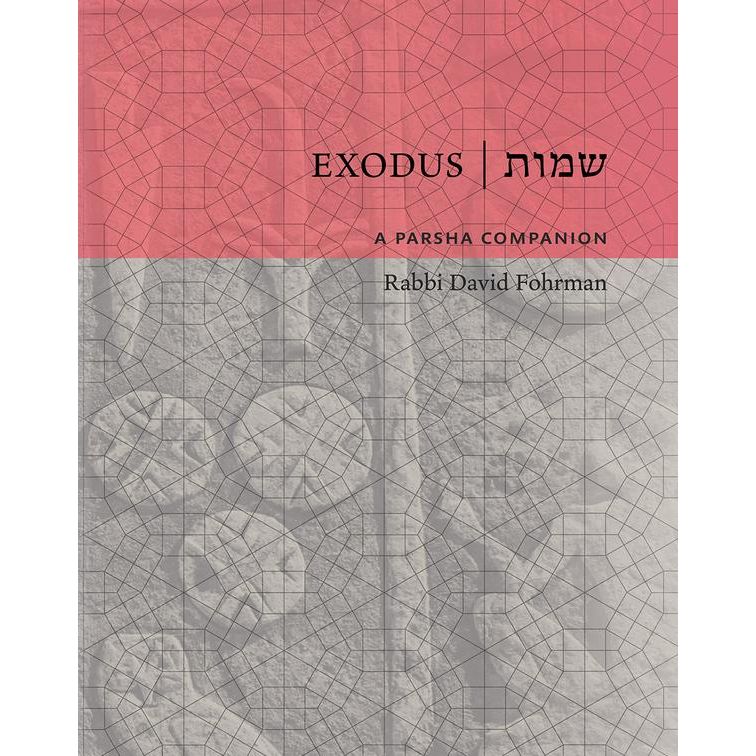 Exodus: A Parsha Companion By Rabbi David Fohrman
