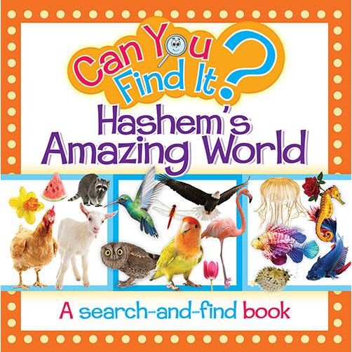 Can You Find It? Hashem's Amazing World A search-and-find Board Book 10"x 10" Ages 3-8