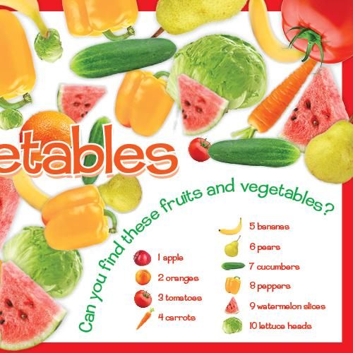 Can You Find It? Hashem's Amazing World A search-and-find Board Book 10"x 10" Ages 3-8