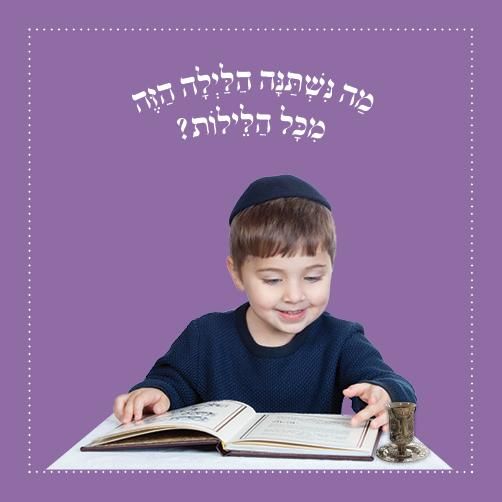 A Passover Board Book Yosef and Yael and the Ma Nishtana By Shulamis Krumbein Ages 2-5