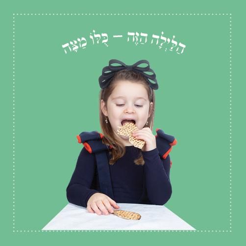 A Passover Board Book Yosef and Yael and the Ma Nishtana By Shulamis Krumbein Ages 2-5