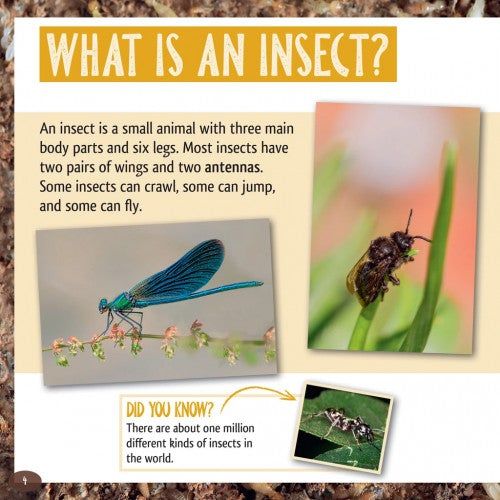 And the Winner Is...Who Is the Longest Living Insect on Earth? By Meish Goldish Grade 3 Lvl O