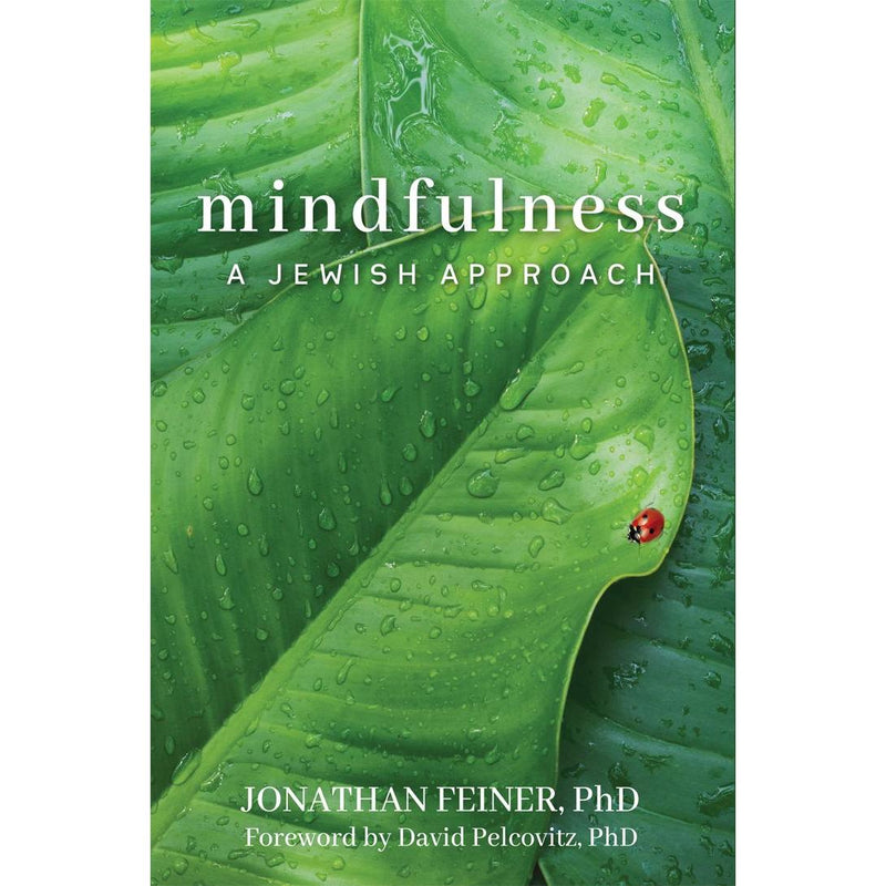 Mindfulness A Jewish Approach By Dr. Jonathan Feiner, PhD