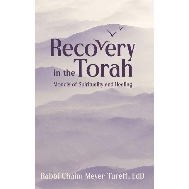 Recovery In The Torah Models Of Spirituality And Healing