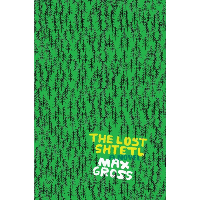 The Lost Shtetl: A Novel cover image