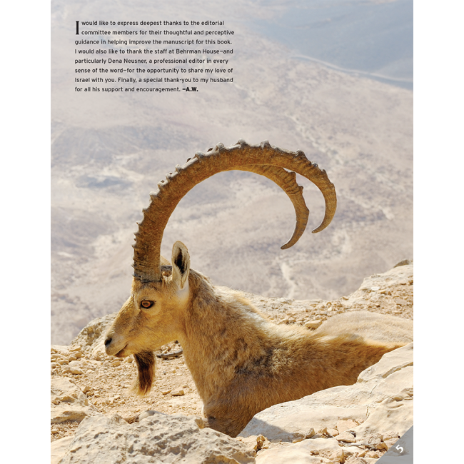 Experience Modern Israel plus Modern Israel Online Grade A Textbook Level: Grade 6-8