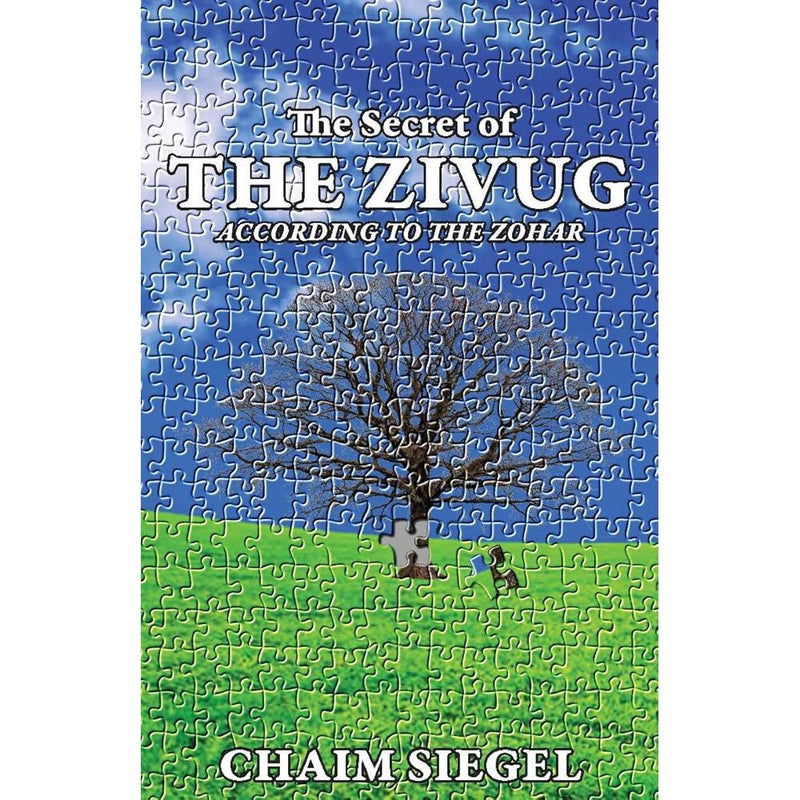 The Zivug: The Secret Of The Zivug According To The Zohar cover image