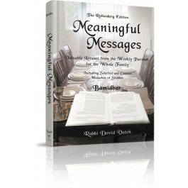 Meaningful Messages: Devarim cover image