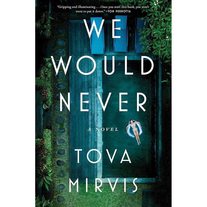 We Would Never: A Novel cover image