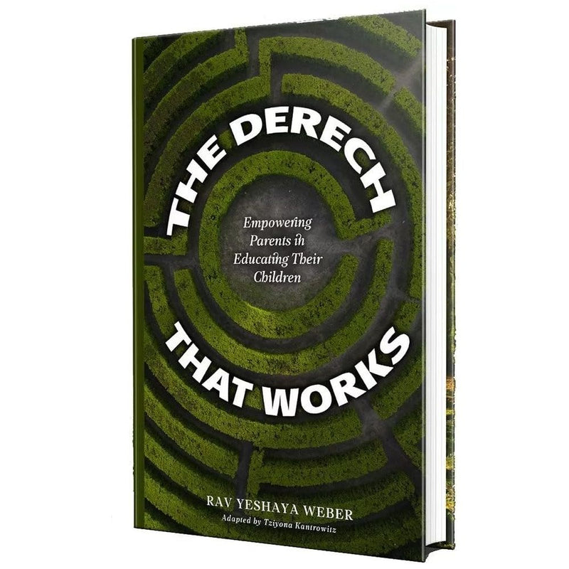 The Derech That Works cover image