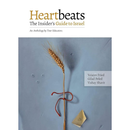 Heartbeats: The Insider's Guide to Israel. A Non-Conventional Anthology by Leading Tour Educators cover image
