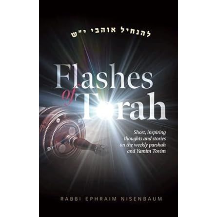 Flashes of Torah cover image