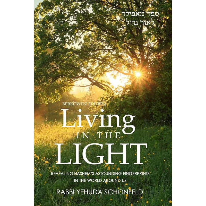 Living in the Light: Revealing Hashem's astounding fingerprints in the world around us cover image