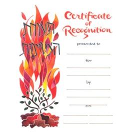 Certificate of Recognition