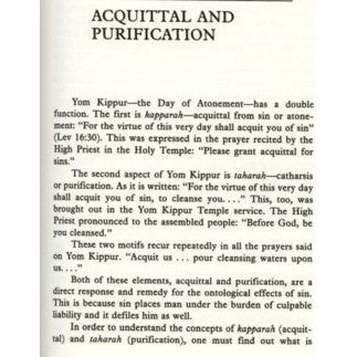 On Repentance: The Thought and Oral Discourses of Rabbi Joseph D. Soloveitchik