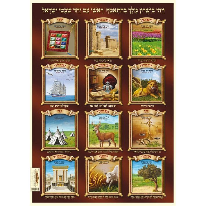 Laminated Jewish Poster 20" x 28" Shevatim 12 Tribes of Israel