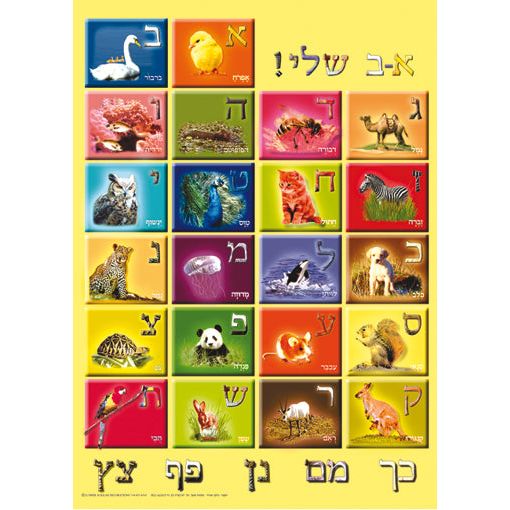 Embossed Plastic Poster Alef Bet Aleph Bet Educational Hebrew Jewish Poster