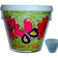 Paint Your Own Tu B'Shvat Flower Pot SET 0f 12 Classroom Project