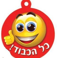 Kol HaKavod - Well Done Medallions Smiley Design Set of 36