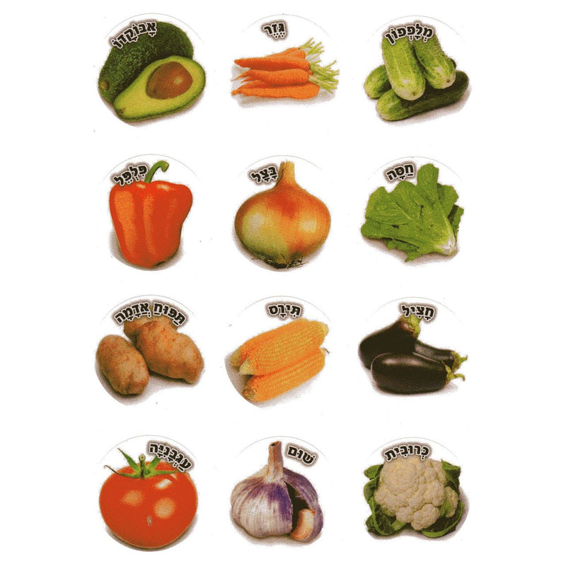 Hebrew Vocabulary  Colorful Jewish Stickers VEGETABLES Set of 120 stickers