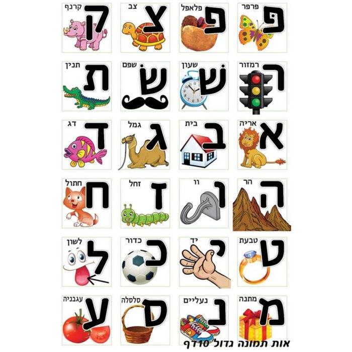 Aleph Bet Hebrew Vocabulary Square Jewish Classroom Stickers with Examples Text & Picture set of 240