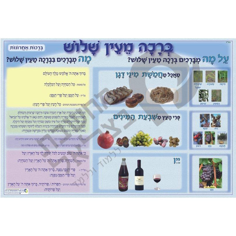 Birkat Mei'Ein Shalosh Jewish Educational Poster Hebrew Classroom ברכת מעין שלוש