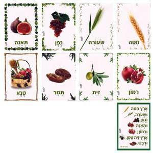 Shivat HaMinim The 7 Species of Israel Picture Set of 7 made in Israel