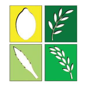 ARBA MINIM Sukkot Stencil Set of 4