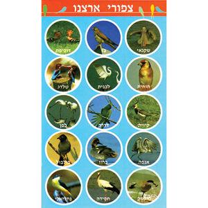 Birds of Israel Hebrew Vocabulary Jewish Stickers Set of 90 large Stickers