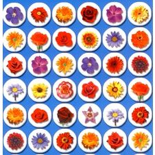 Small Flowers Jewish Stickers made in Israel Set of 480