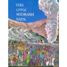 The Little Midrash Says - 4 - The Book of Bamidbar