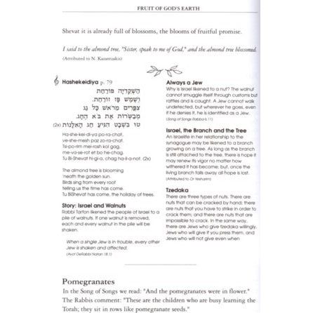 SEDER TU BISHEVAT: The Festival Of Trees By Rabbi Adam Fisher