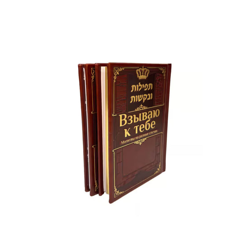 Aneni : Special Prayers for Special Occasions Hebrew Russian Deluxe Edition with Gold Gilding Взываю к тебе