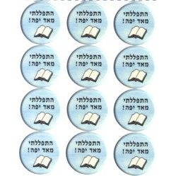 Hebrew Vocabulary Jewish Stickers "Nice Davening!" - Set of 48