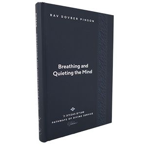 Paths of the Divine Service : Breathing and Quieting the Mind by Rabbi Dovber Pinson
