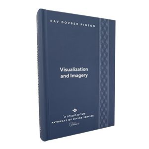 Paths of the Divine Service :  Visualization and Imagery: Harnessing the Power of the Mind's Eye By Dovber Pinson